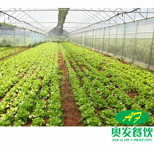 武汉学校食堂承包工作应该如何做到更好？