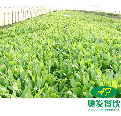 武汉蔬菜配送时要注意什么？