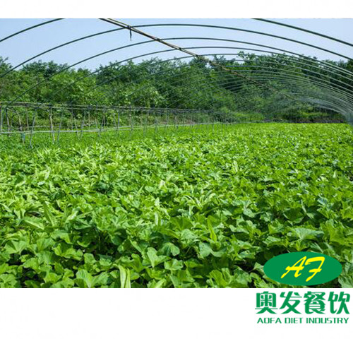 武汉蔬菜配送的运作流程是怎样的？